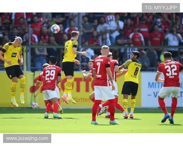 非豪门但表现亮眼的德甲球队盘点