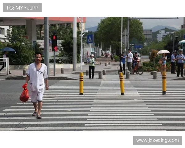 三球闯红灯引发热议网友调侃马路是我家交规算什么