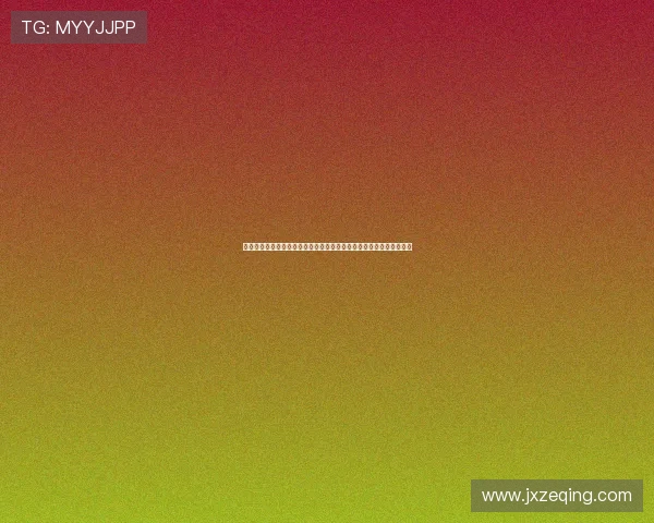 孔塞桑强调球队实力不只在本泽马和坎特其他世界级球星同样值得期待